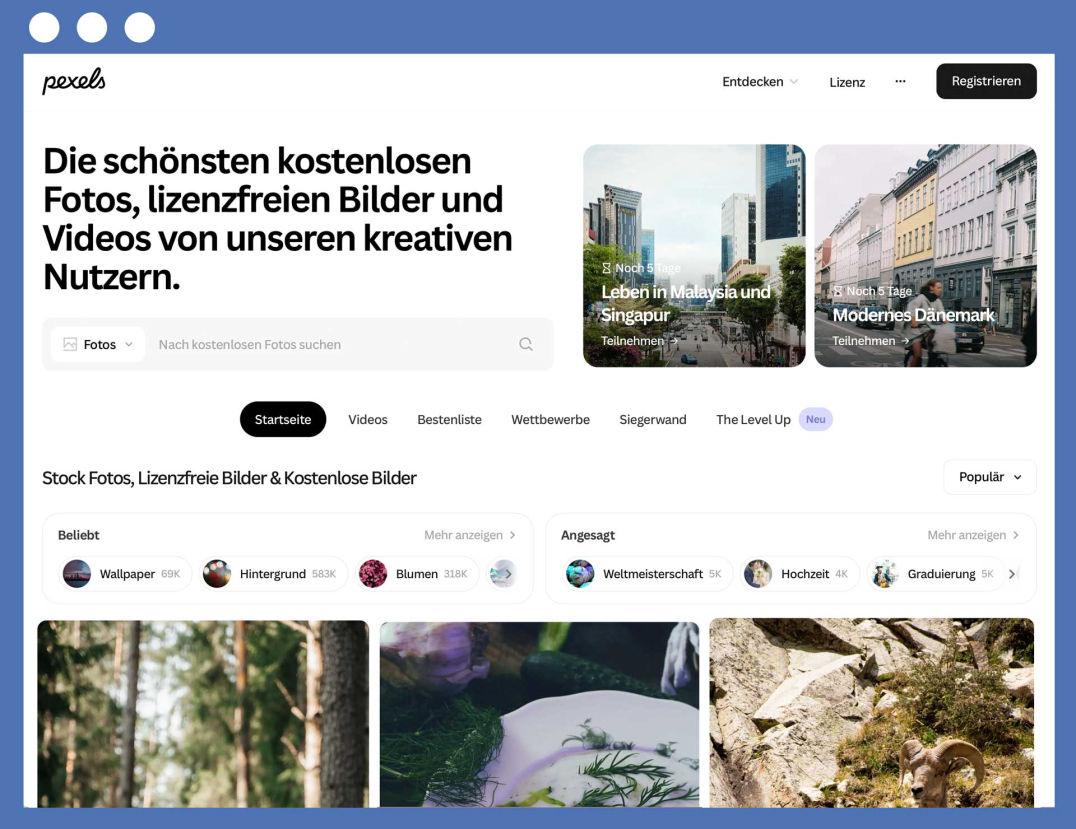 Webportal Pexels